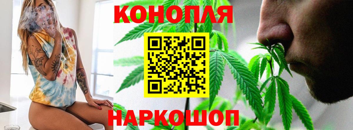 Бошки Шишки конопля Донской